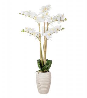 Орхидея Х 6 В Кашпо 89См Белый